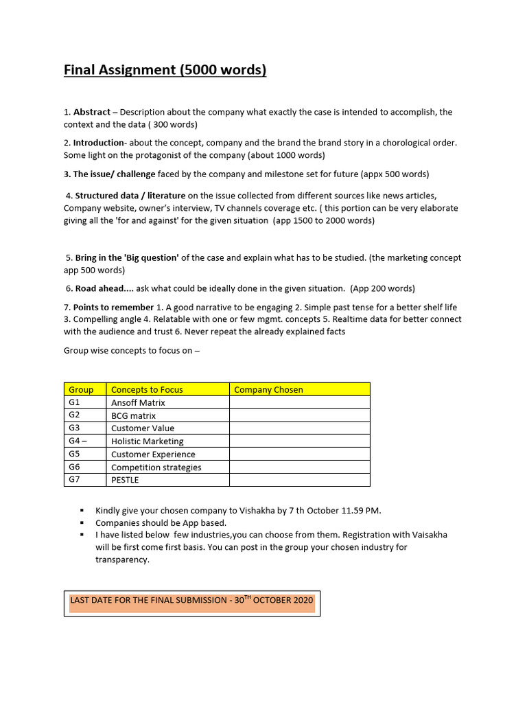 Final Assignment on Marketing Strategies | PDF