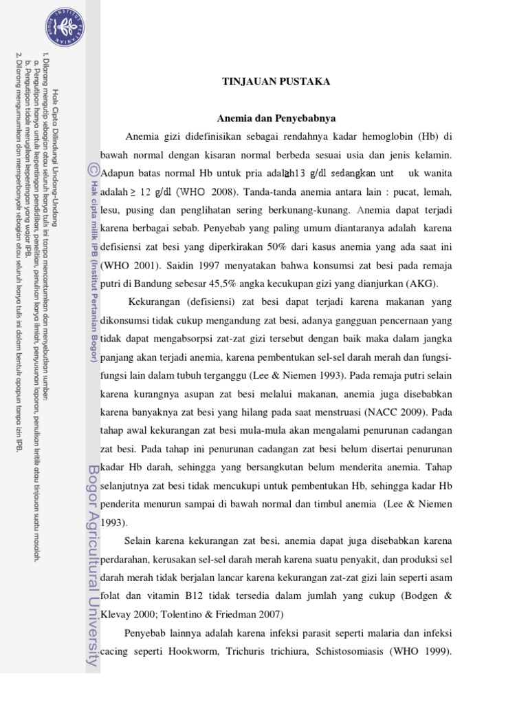 Bab Ii Tinjauan Pustaka Skripsi