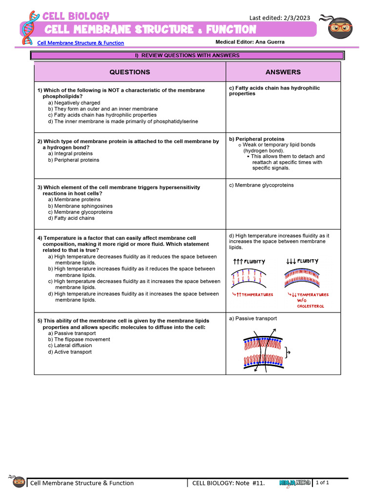 Cell Membrane Structure & Functions Explained | PDF | Cell Membrane | Lipid