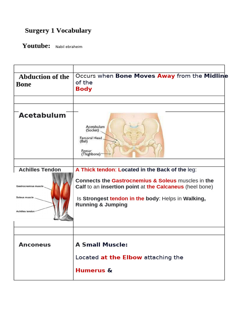 Surgery Vocabulary Guide | PDF | Bone | Foot