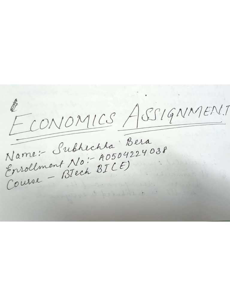 Economics Assignment | PDF