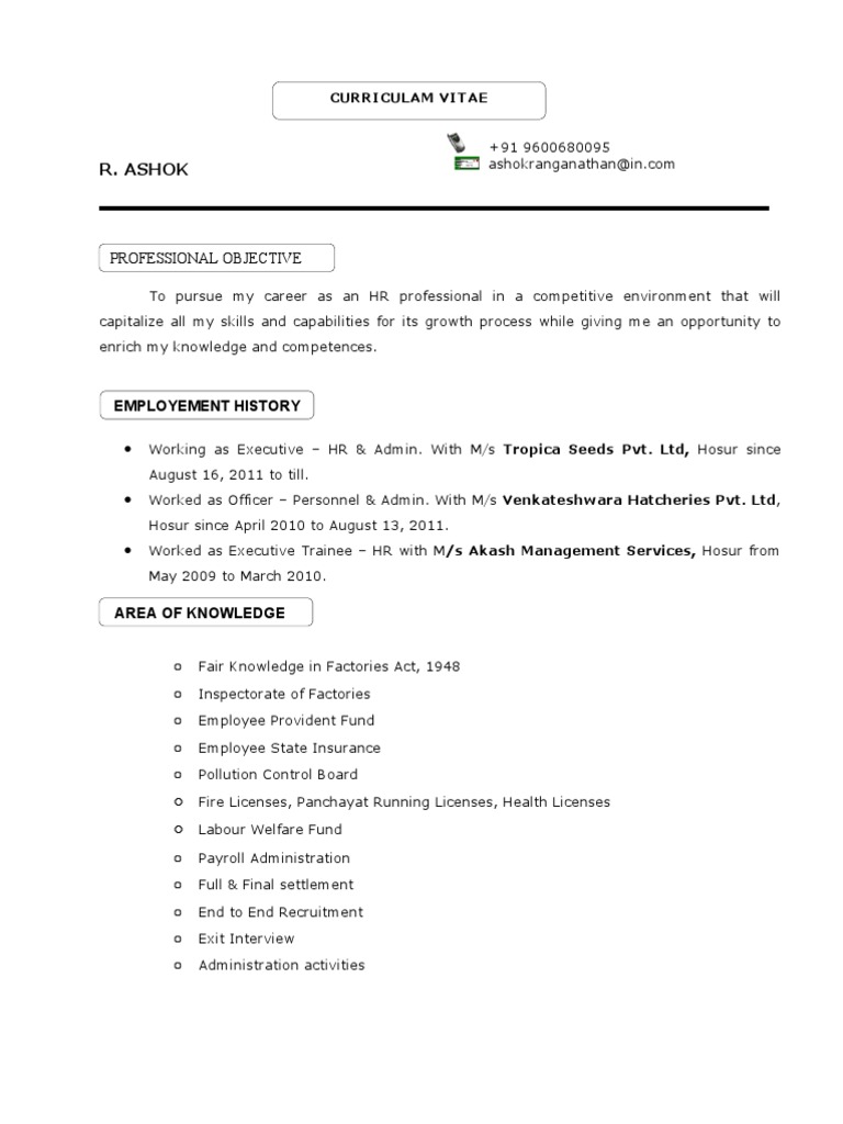 Curriculum vitae ash picture