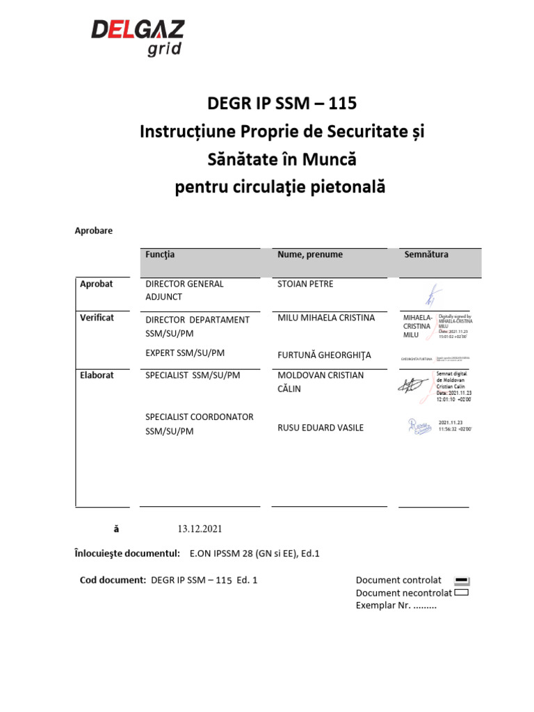 DEGR IP SSM 115 Circulatia Pietonala | PDF
