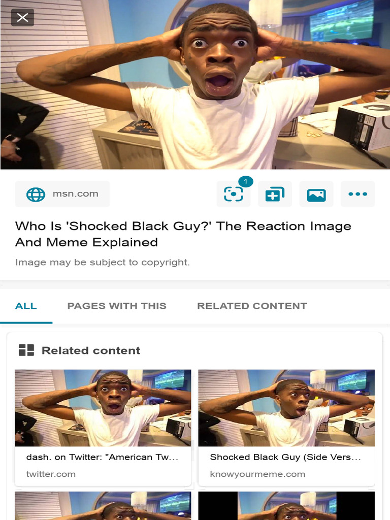 Shocked Black Guy Meme Explained | PDF