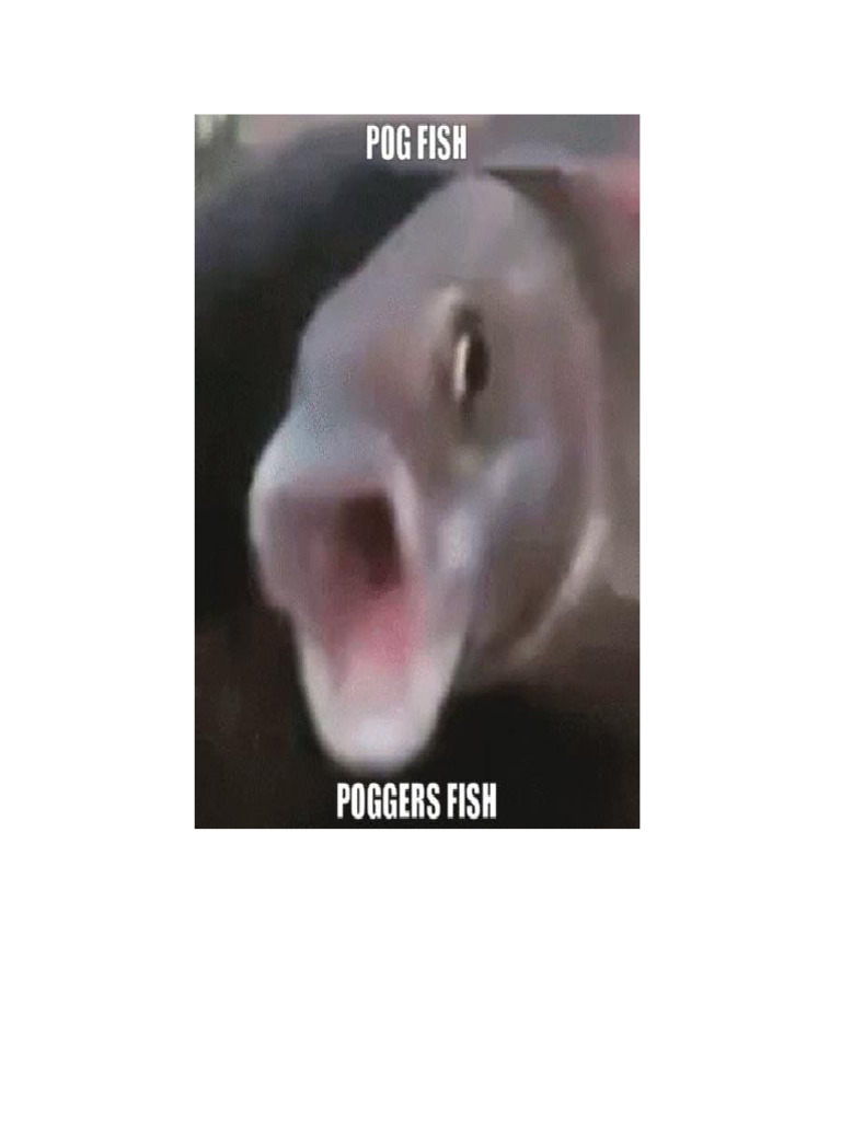 Poger Fish | PDF