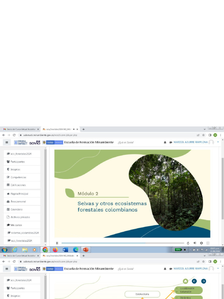 ecosistemas-forestales-m-dulo-2-pdf