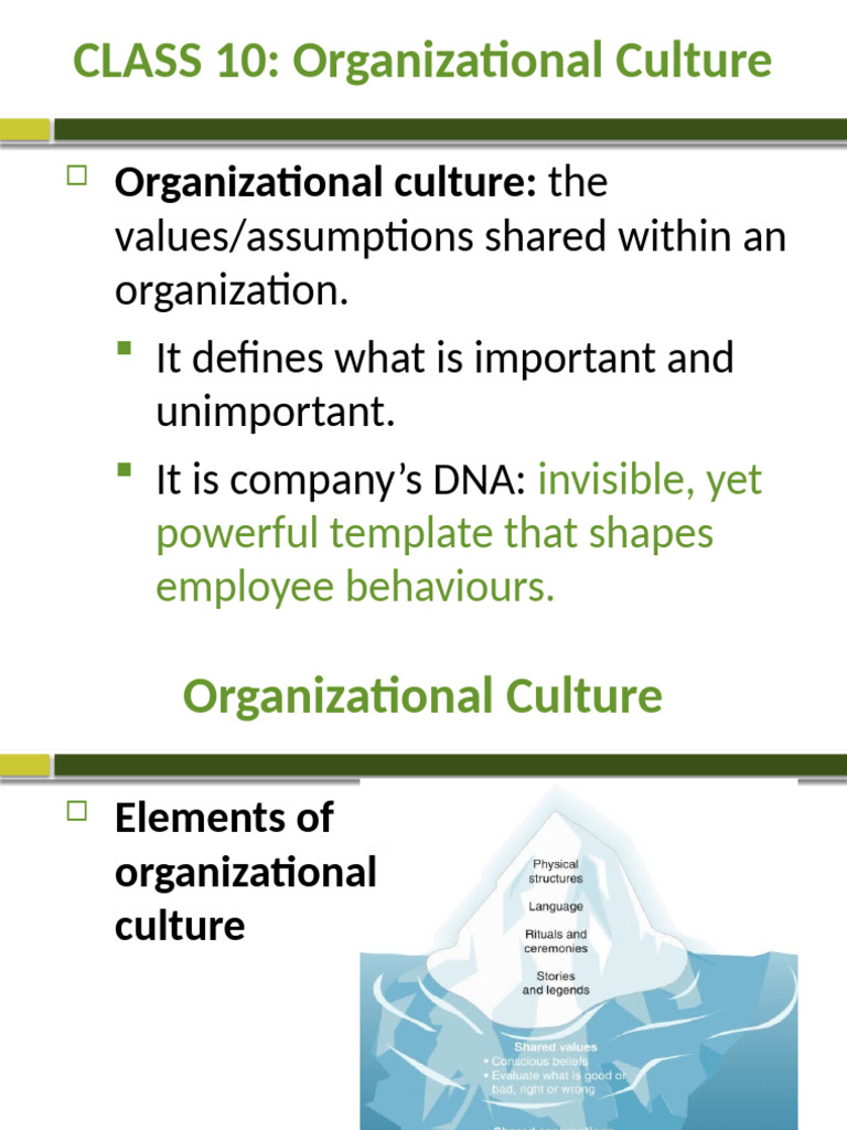 Understanding Organizational Culture | PDF | Organizational Culture ...