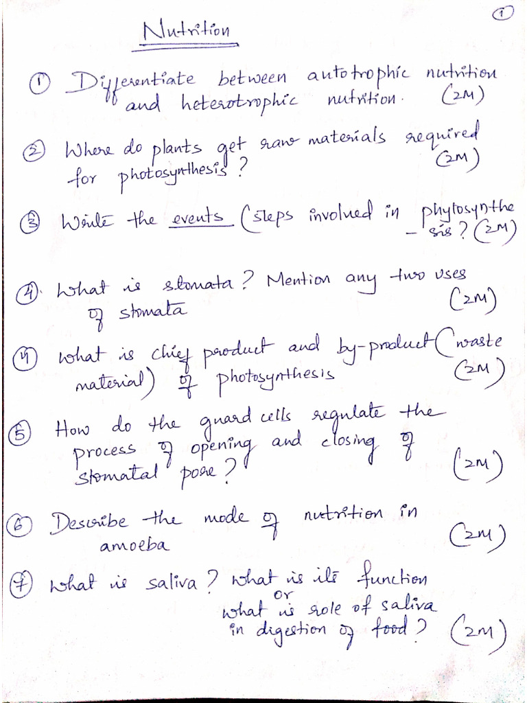 Life Processes - Important Questions | PDF