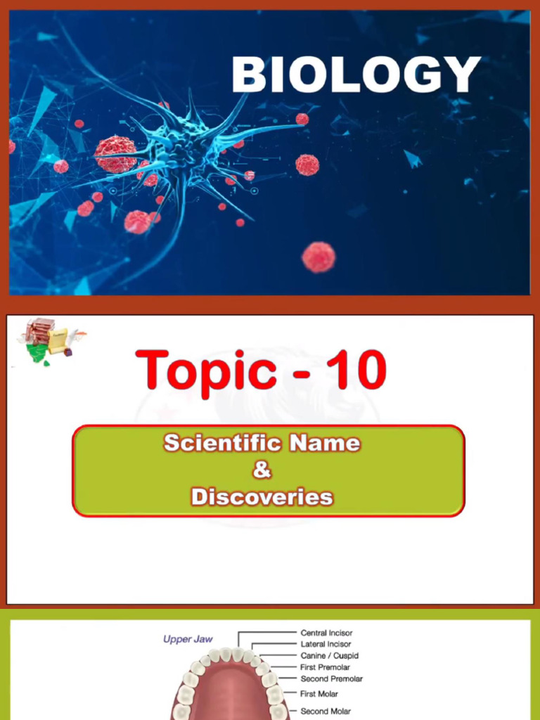 19 - Lecture - 10 - Miscellaneous - Class - PPT | PDF