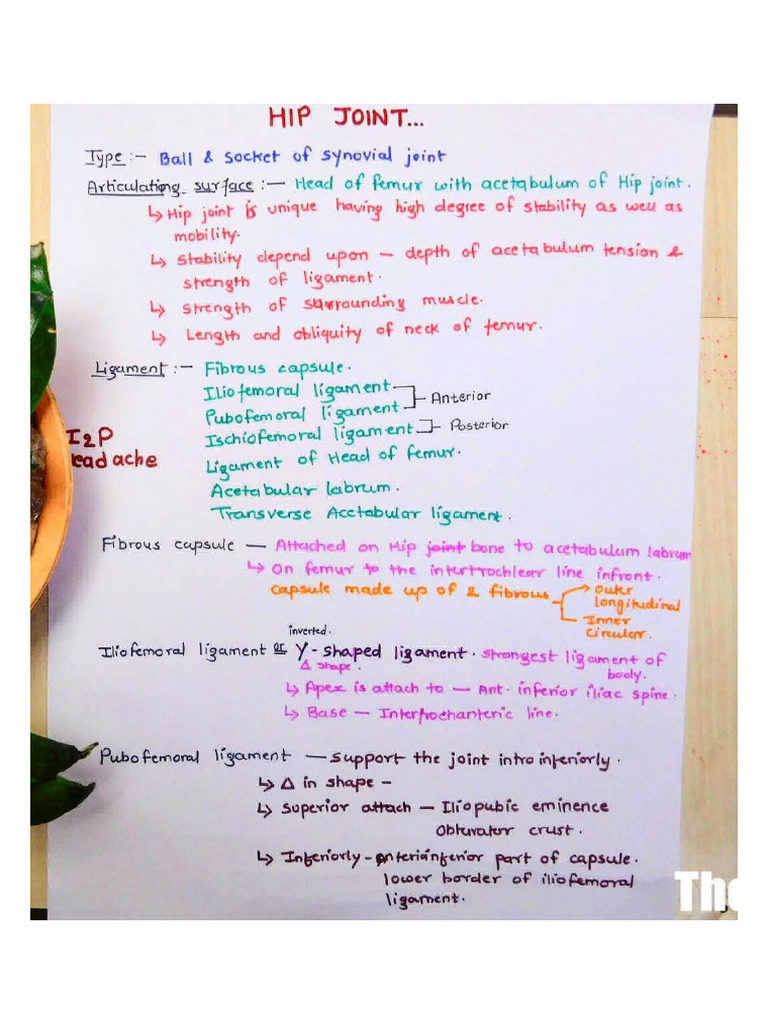 Hip Joint Johari | PDF