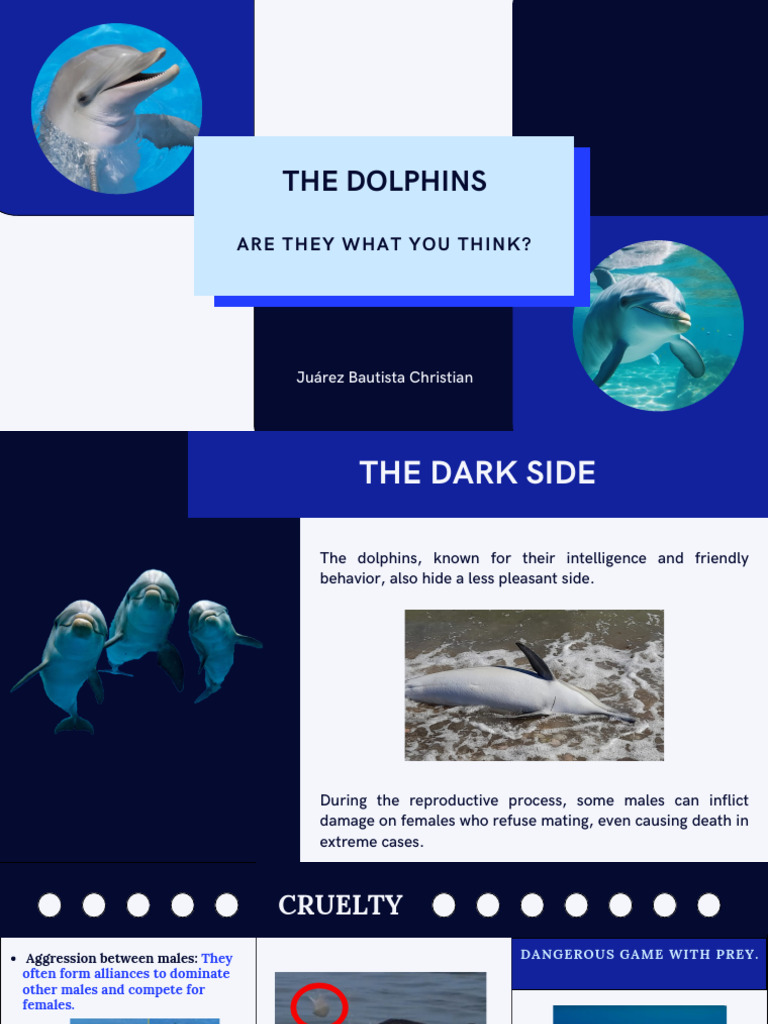 The Dolphins | PDF