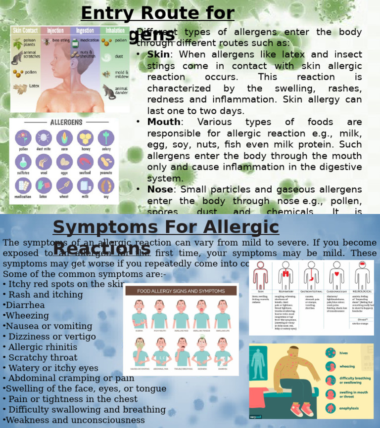 Biology Revision (Allergy) | PDF