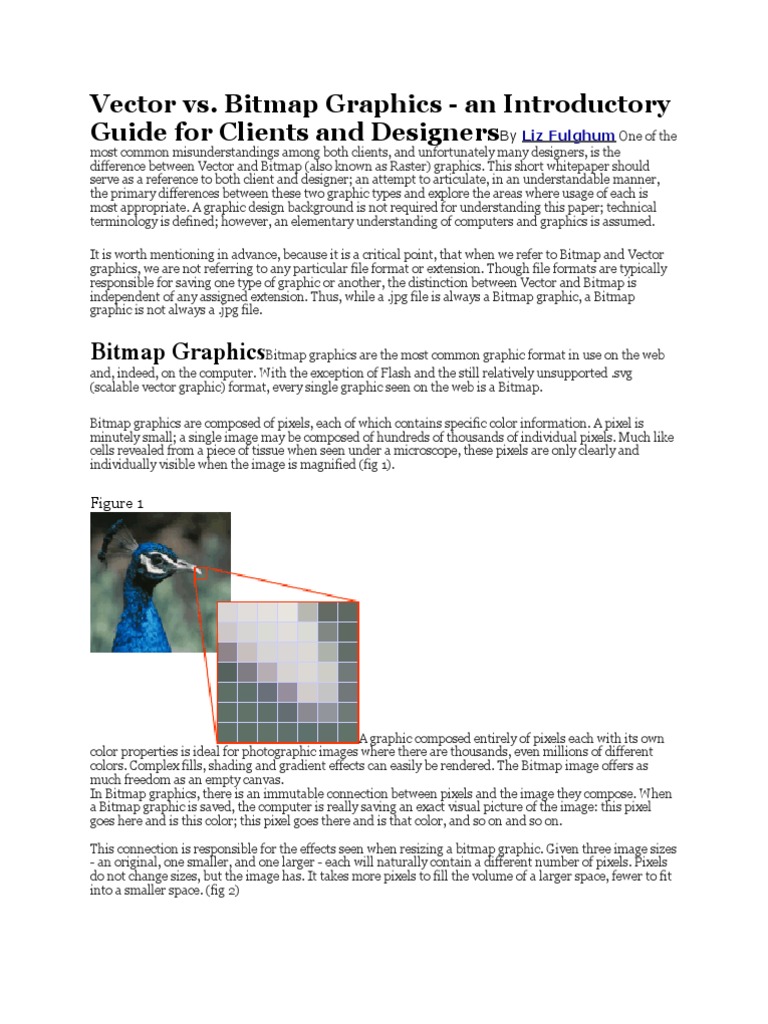 Vector Vs Pixel | PDF | Graphics | Adobe Illustrator
