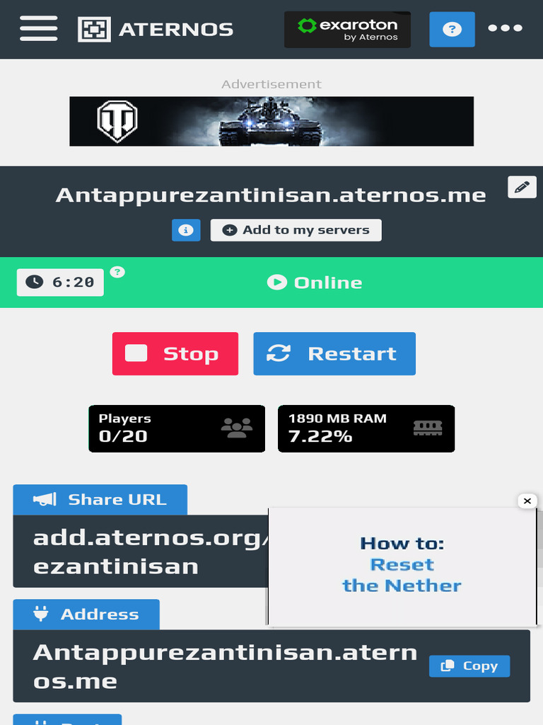 Aternos Server Details for Minecraft | PDF
