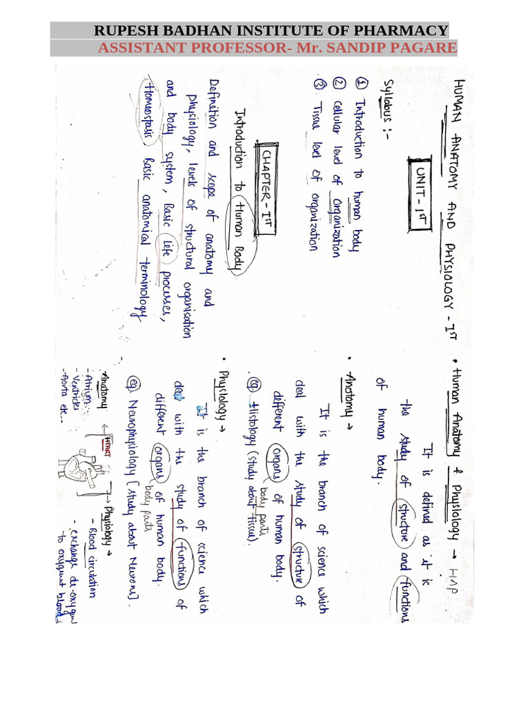 Chapter 1, Unit 1, Human Anatomy and Physiology 1, B Pharmacy 1st Sem ...
