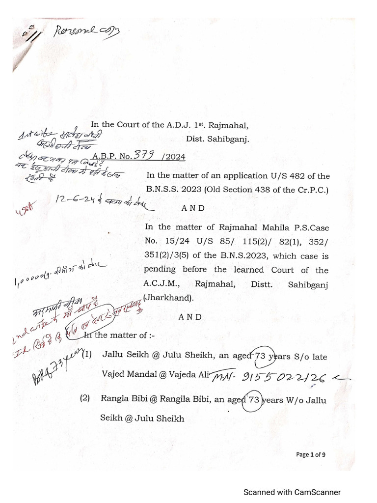 Bail Application | PDF