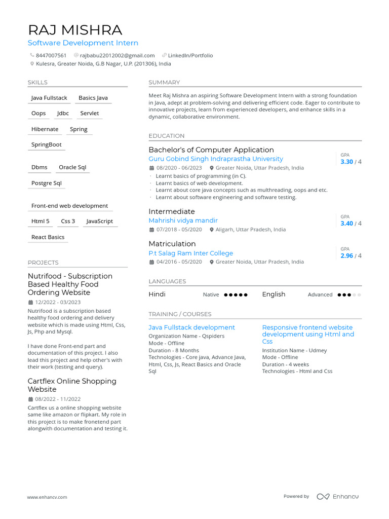 Raj Mishra: Software Development Intern Profile | PDF | Java ...