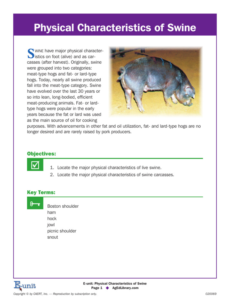 Physical Charc Of Swine E Unit Pdf Pig Pork