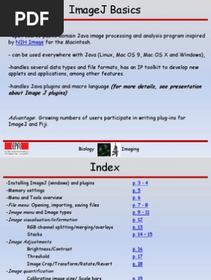 Imagej Basics Rgb Color Model File Format