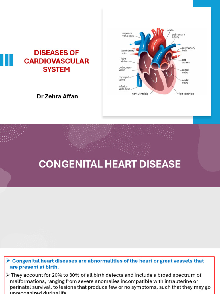 CVS part 3 | PDF | Congenital Heart Defect | Heart