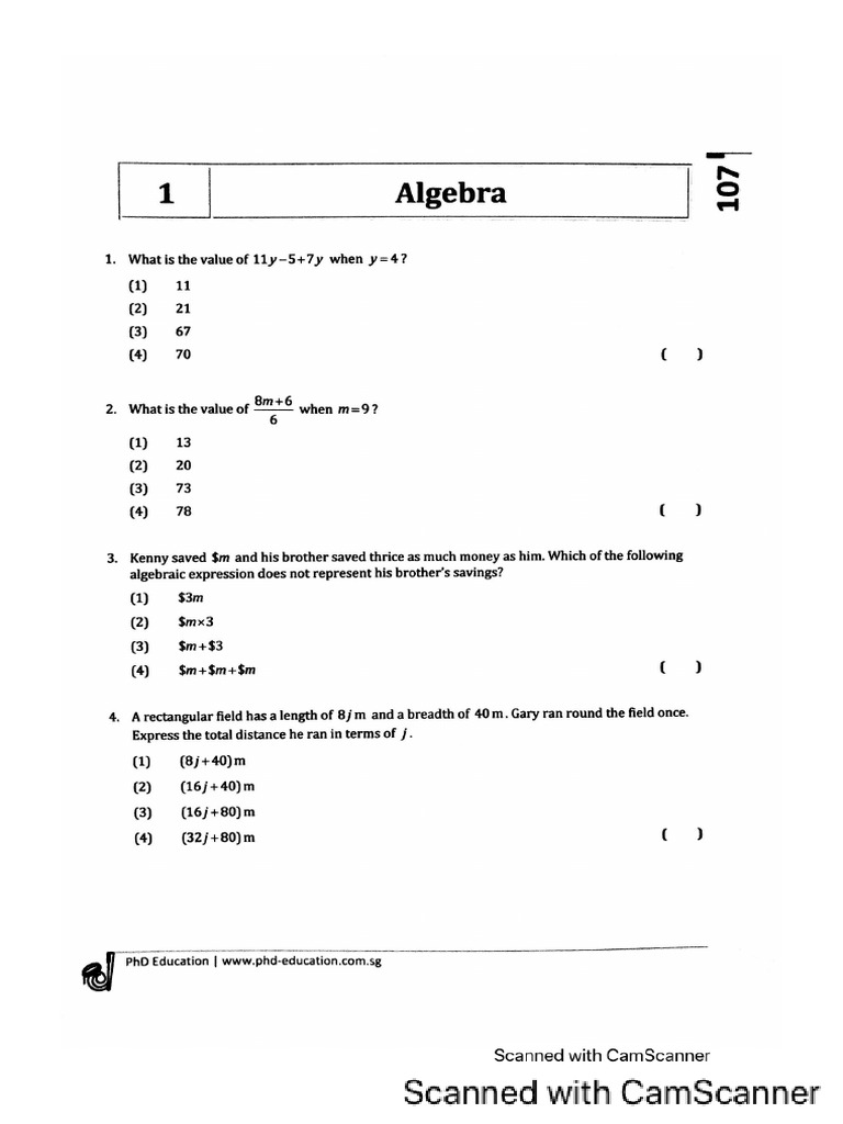 Algebra | PDF
