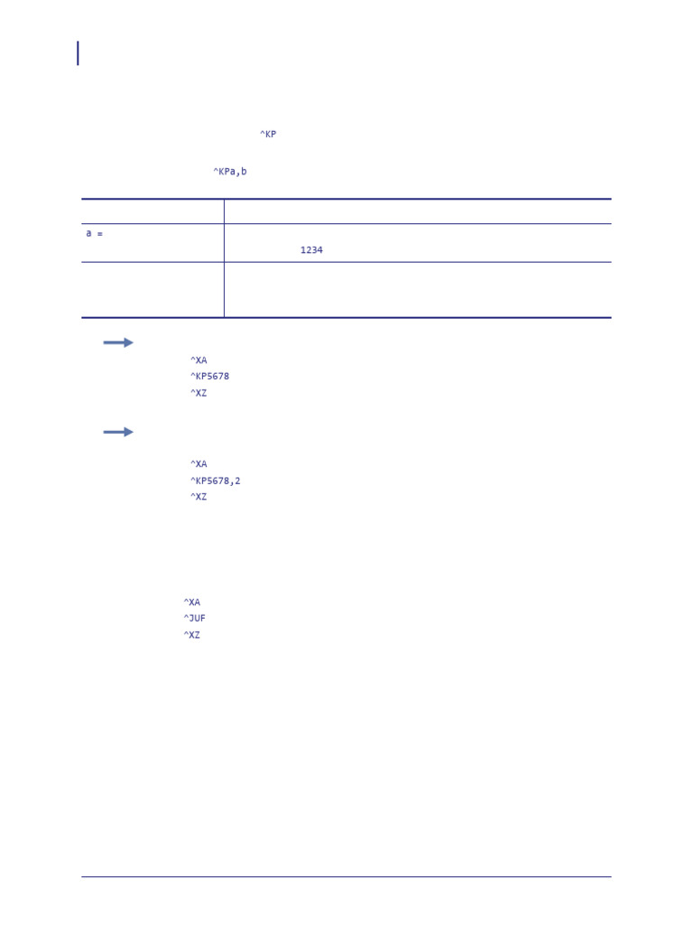 ZPL Command ^KP: Define Password | PDF
