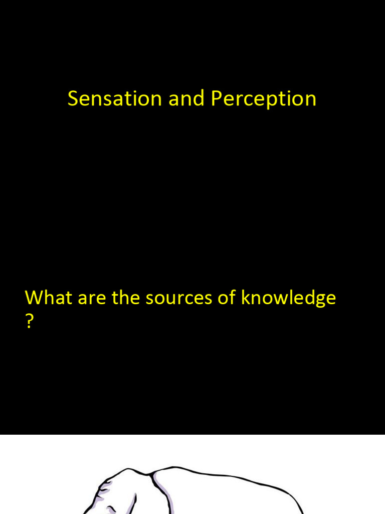 Understanding Sensation and Perception | PDF | Senses | Perception
