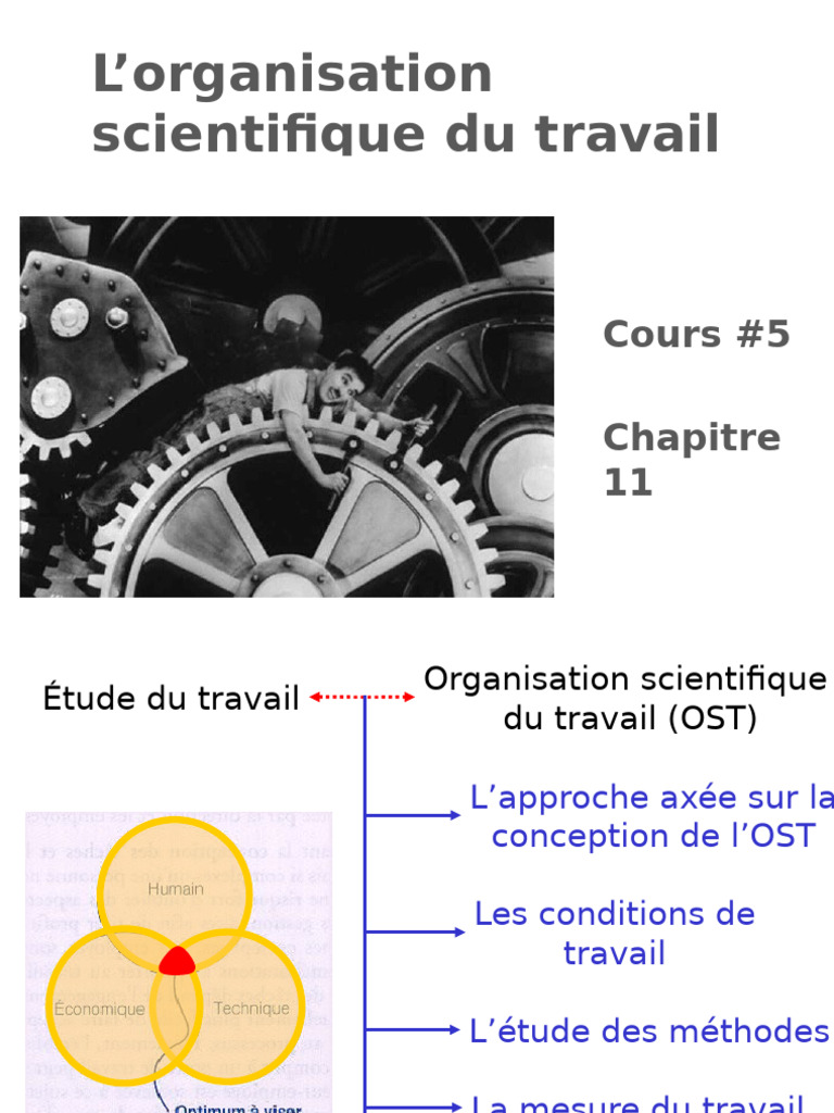 Organisation Scientifique du Travail | PDF | Ergonomie et facteurs humains