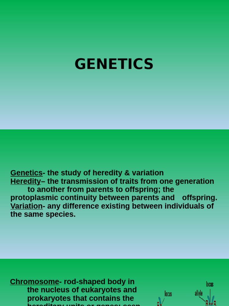GENETICS Powerpoint | PDF | Zygosity | Heredity