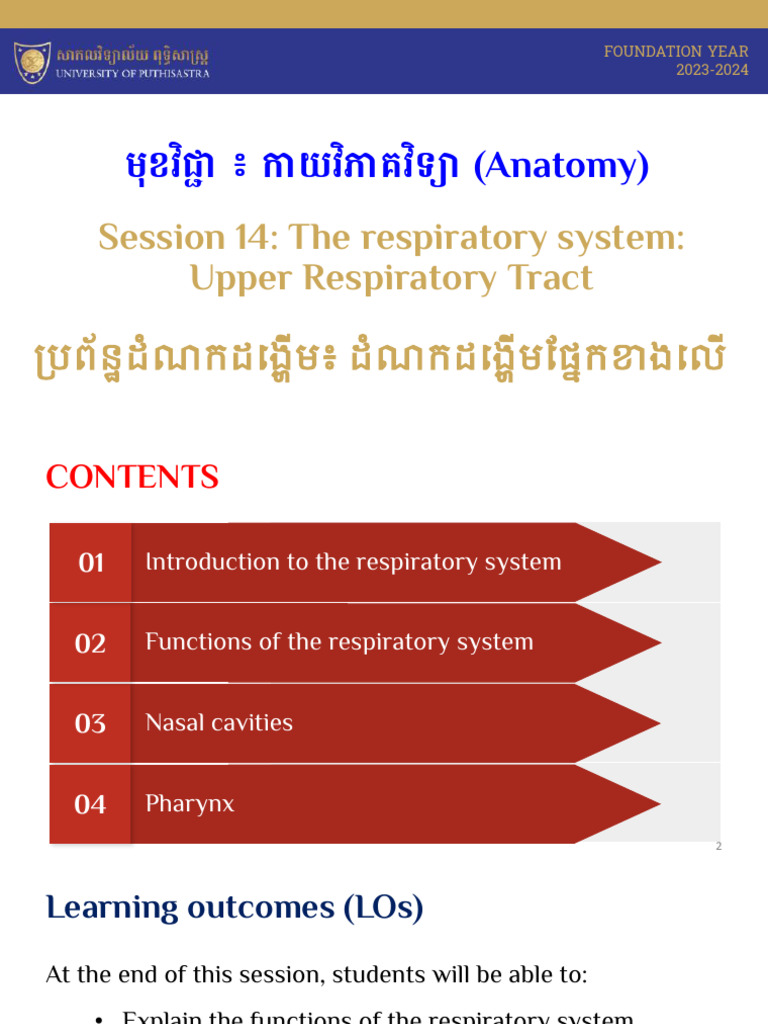Anatomy of the Respiratory System | PDF | Human Nose | Respiratory System