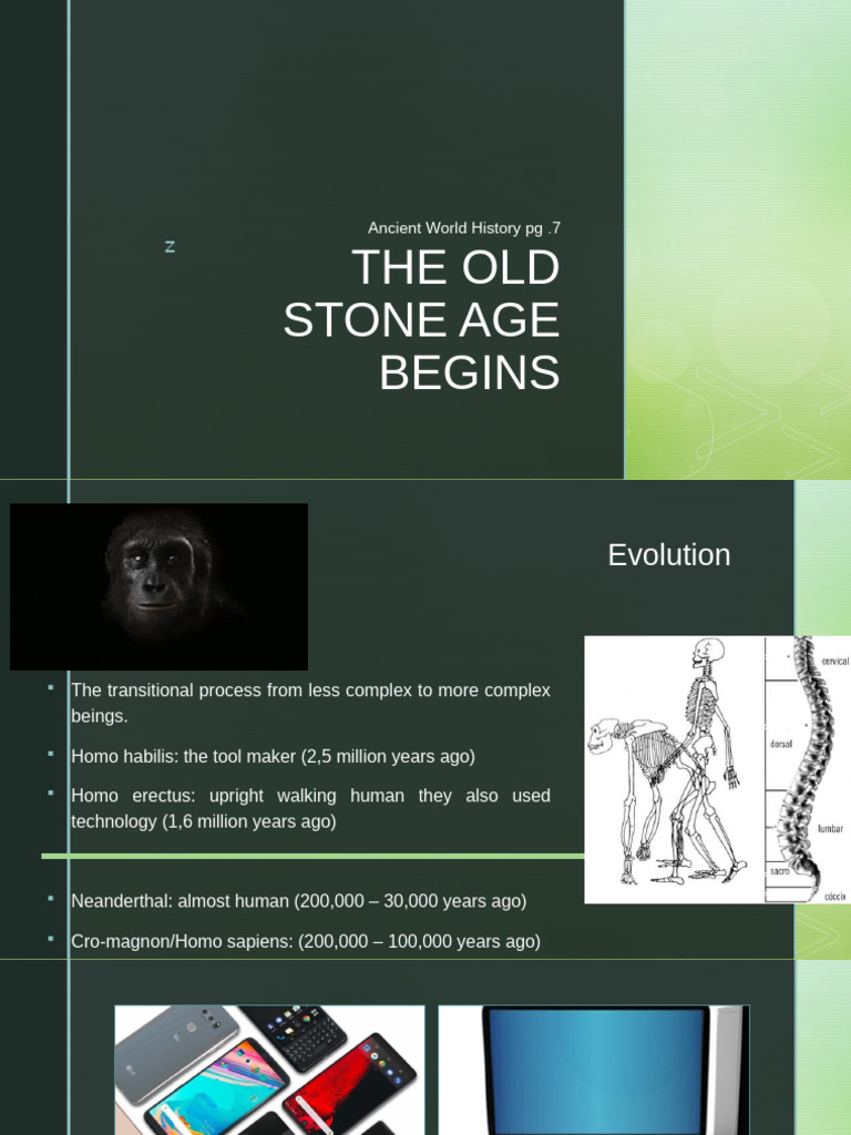 Stone Age Evolution and Technology | PDF