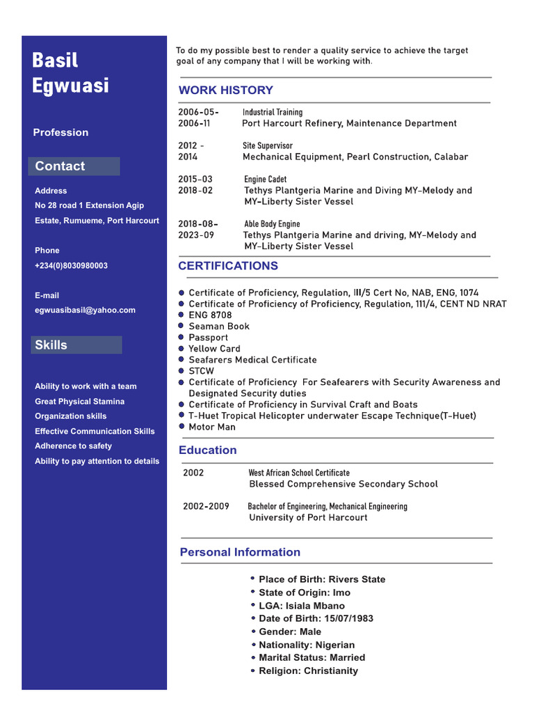 Professional cv1 - 050154 | PDF