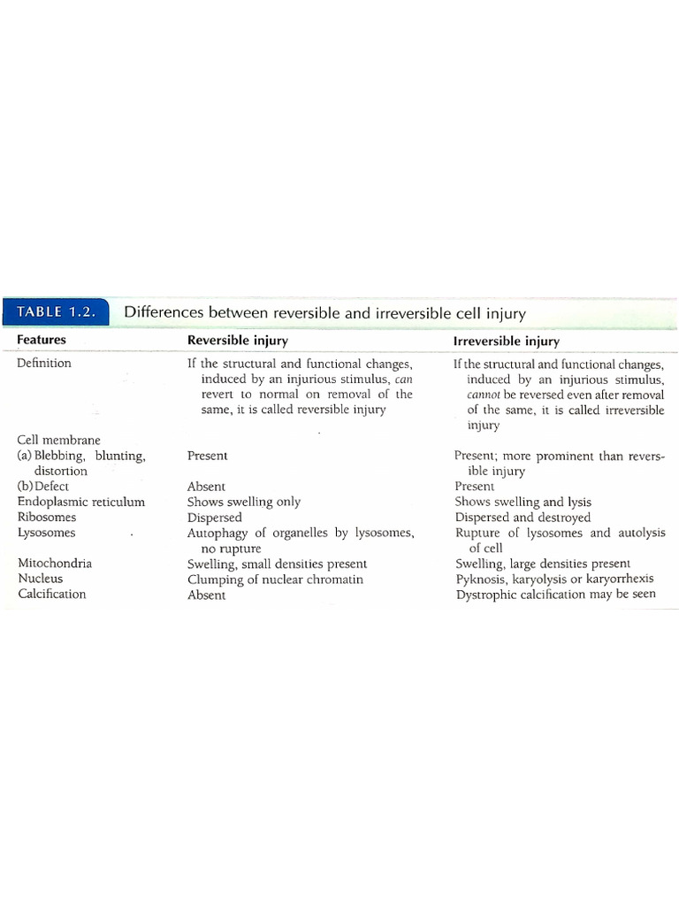 Pathology Imp Tables+ Pointers . General | PDF