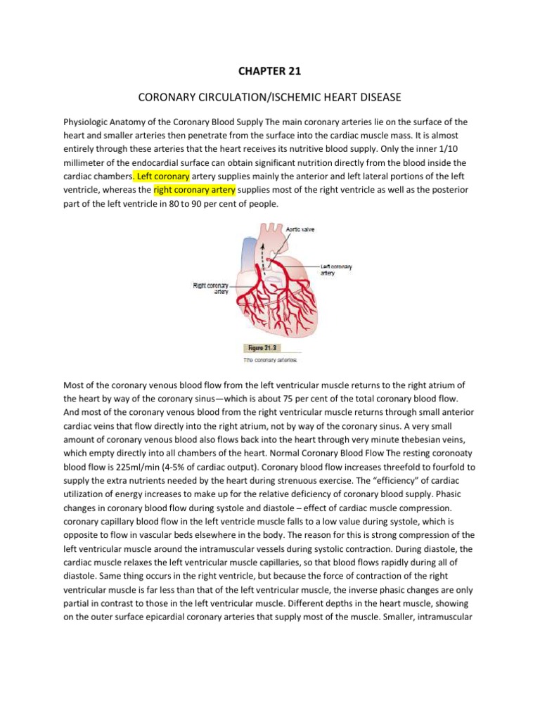 Coronary Circulation Overview | PDF