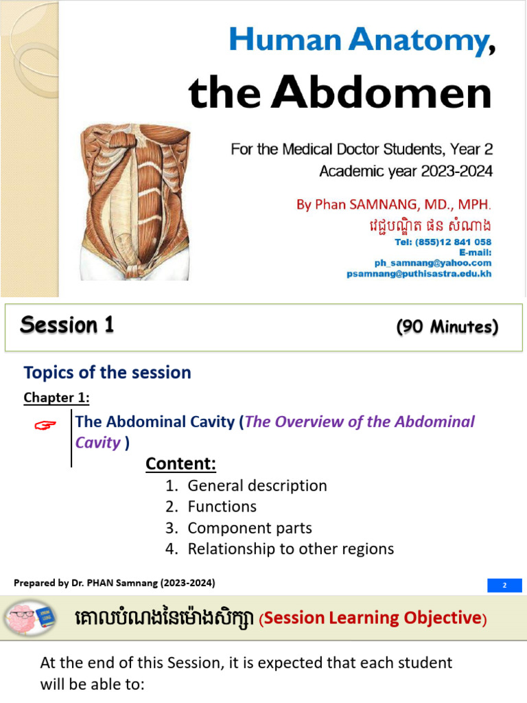 Overview of the Abdominal Cavity | PDF | Abdomen | Pelvis