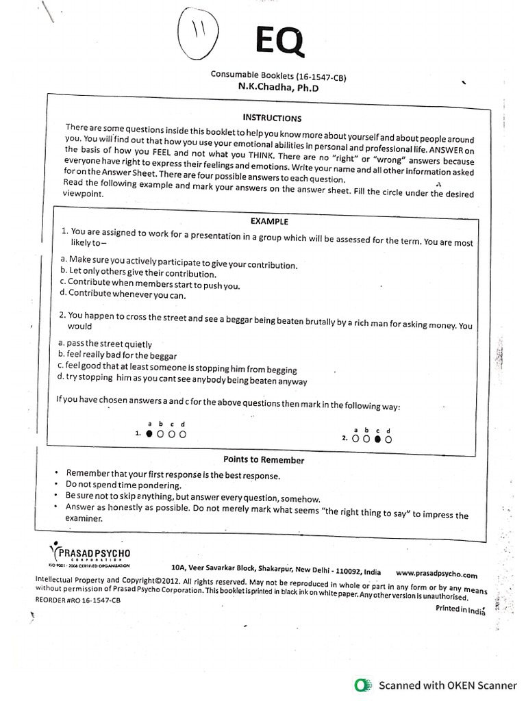 Emotional Quotient Scale | PDF