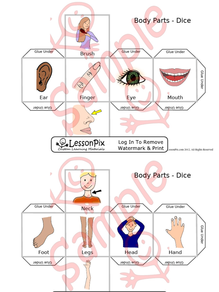 Body Parts Dice Game Instructions | PDF