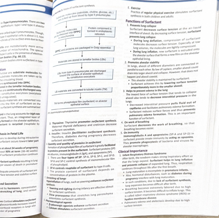 Scanned Document 4 | PDF