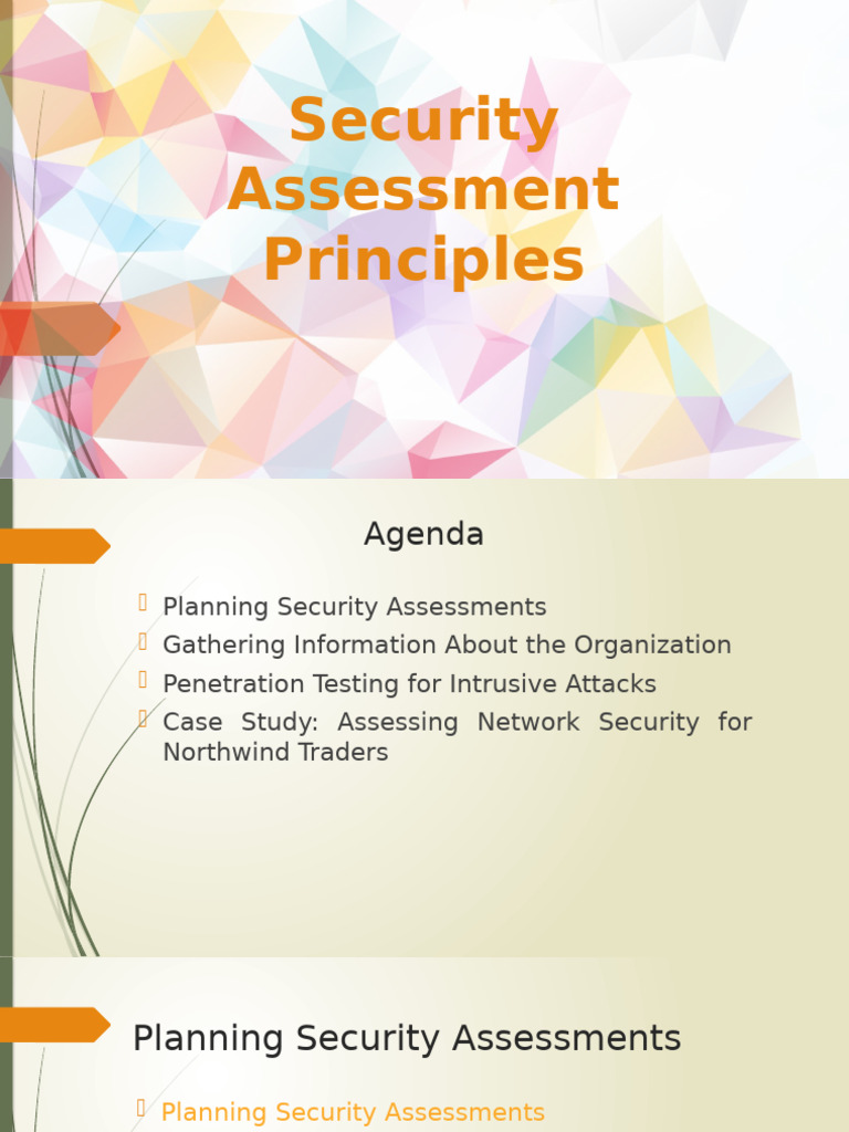 Types of Security Assessments Explained | PDF | Denial Of Service ...