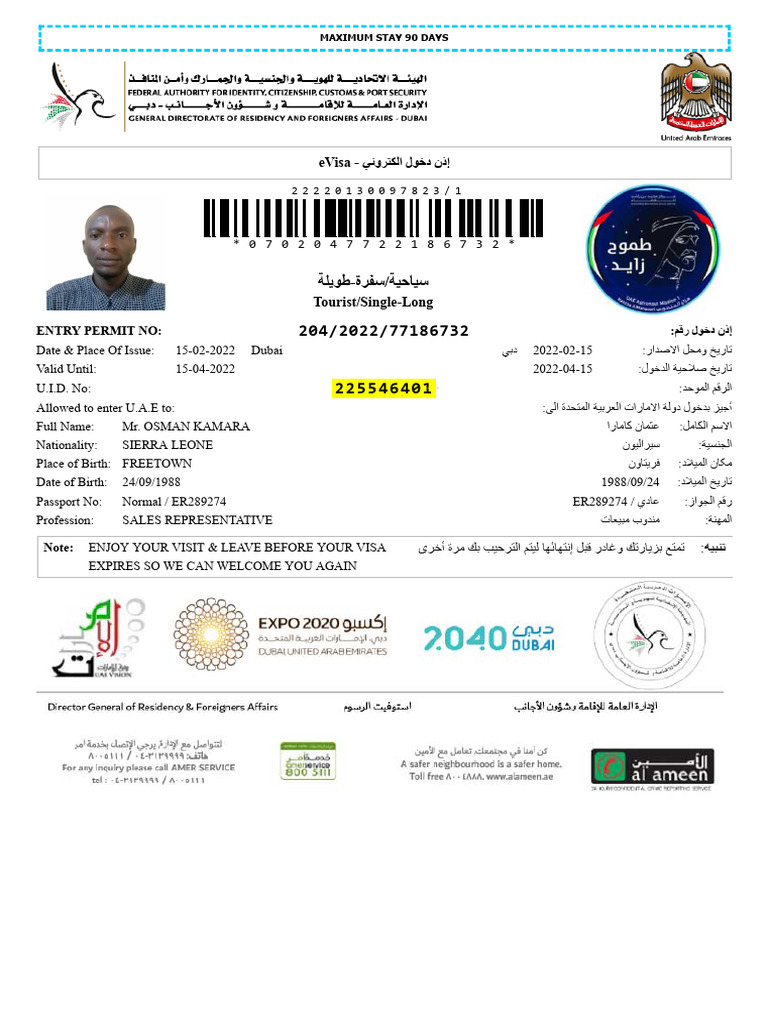 E Visa | PDF
