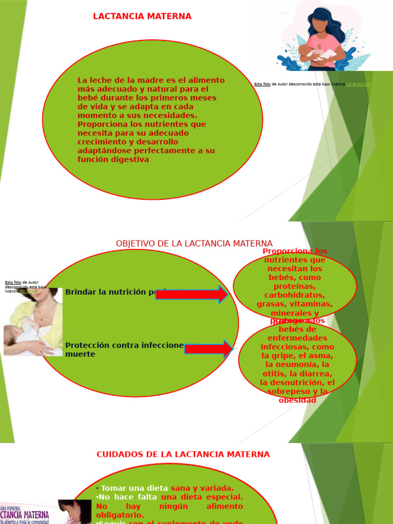 Beneficios de la Lactancia Materna PDF Amamantamiento Diarrea