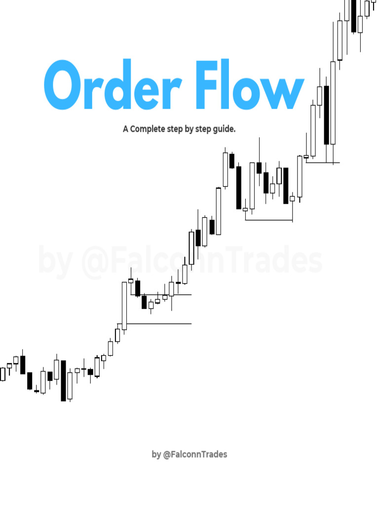 Order Flow Trading Guide for Beginners | PDF | Market Trend | Economics