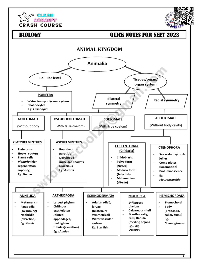 Animal Kingdom Overview for NEET | PDF