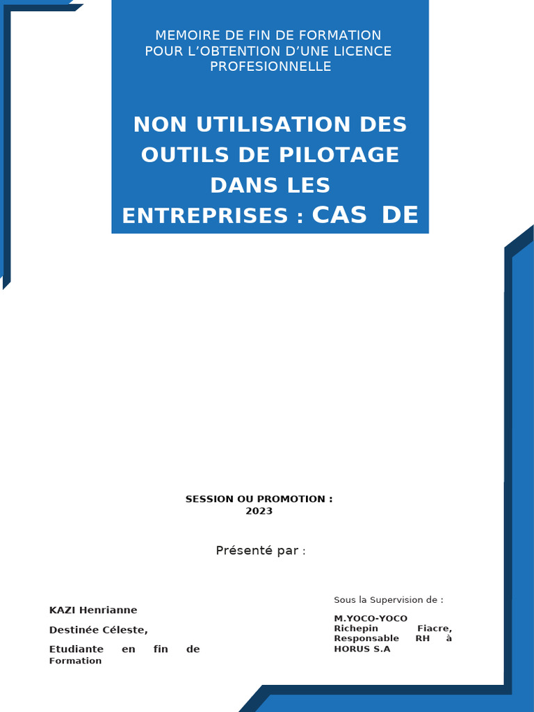 Non-utilisation des outils de pilotage RH | PDF | Gestion des ...