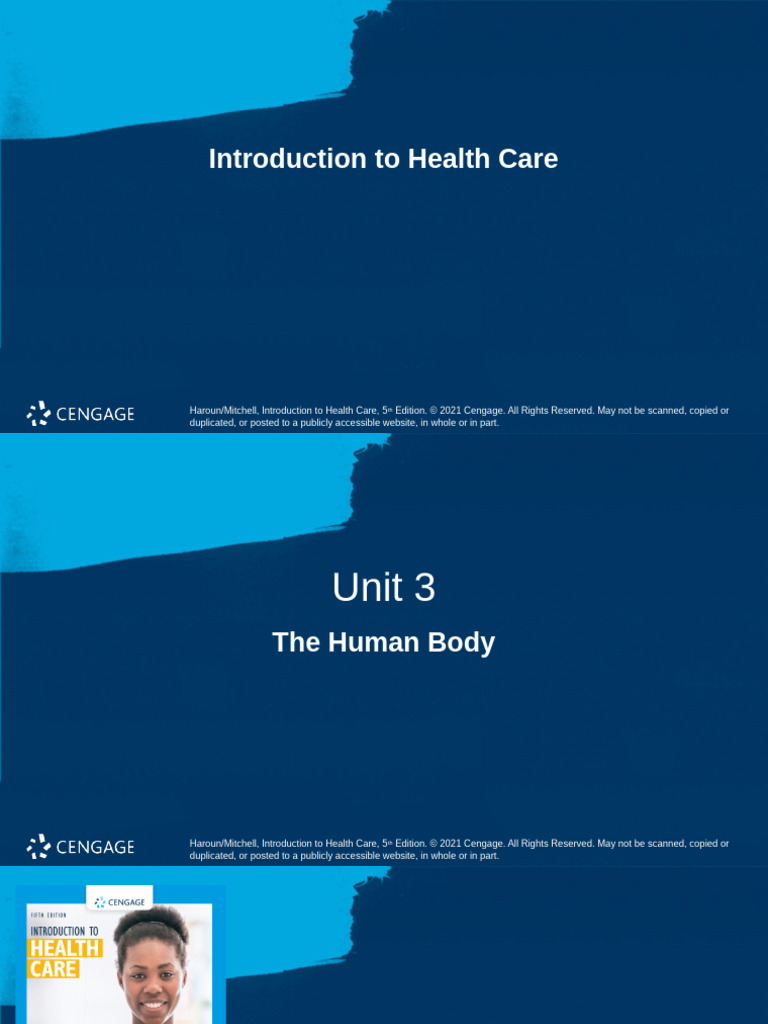 Organization of the Human Body Overview | PDF | Anatomical Terms Of ...