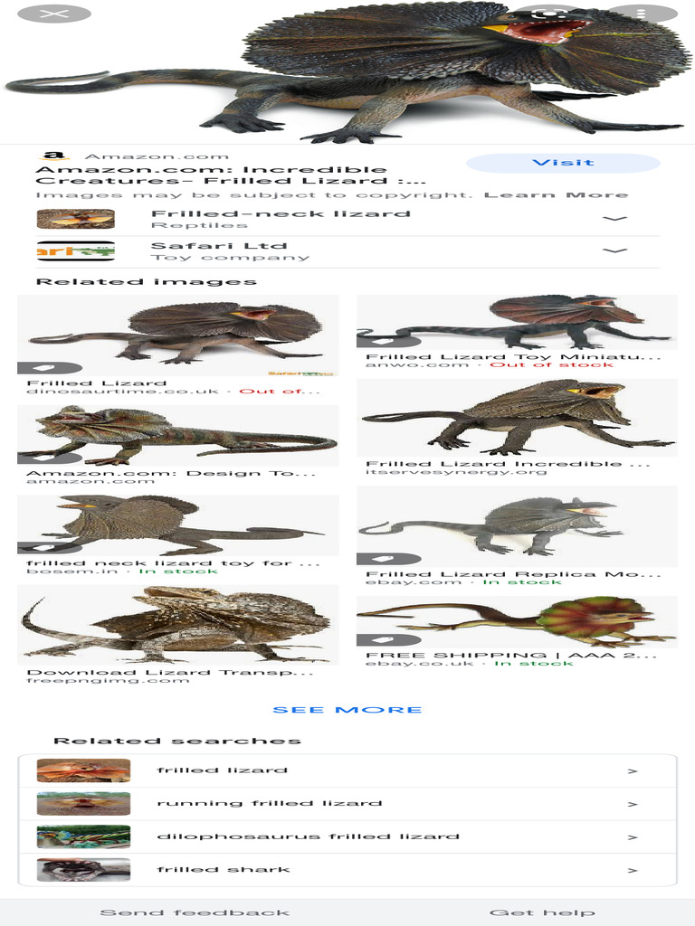 Lizard - Google Search | PDF