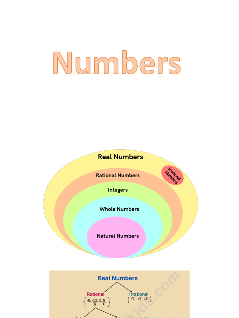 Number Types | PDF