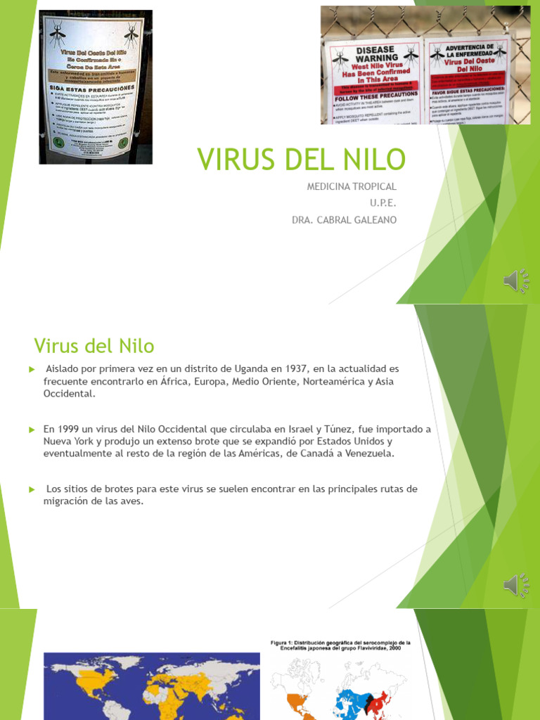 Virus del Nilo: Síntomas y Prevención | PDF | Especialidades Medicas ...