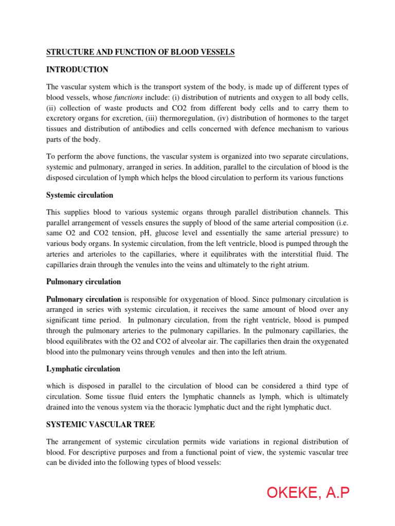 Structure and Function of Blood Vessels | PDF | Artery | Vein