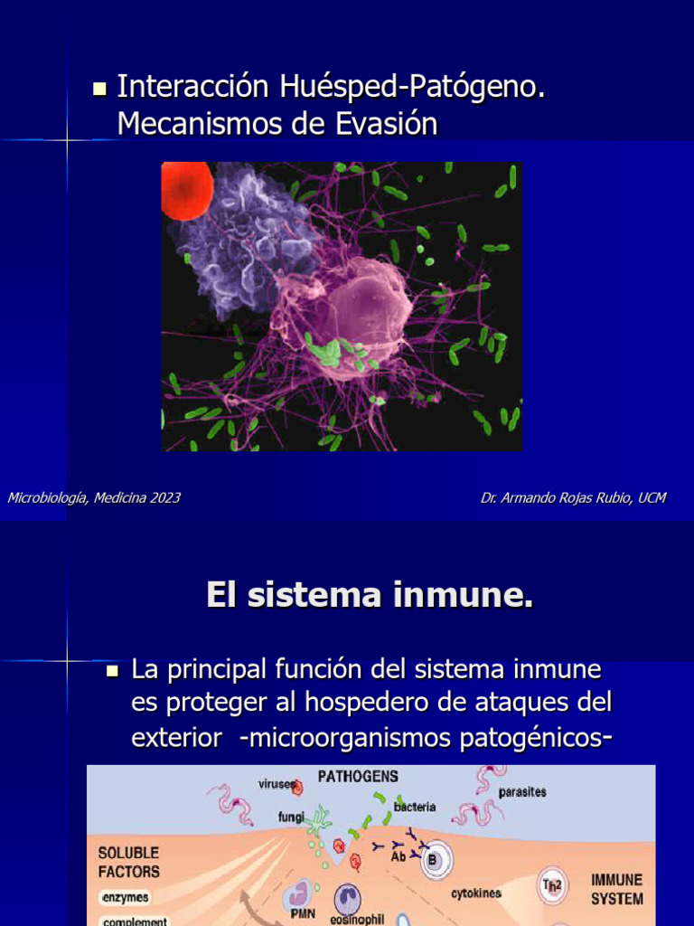 Clase 4 Respuesta Inmune A La Infeccion. Mecanismos de Evasion 2023 ...